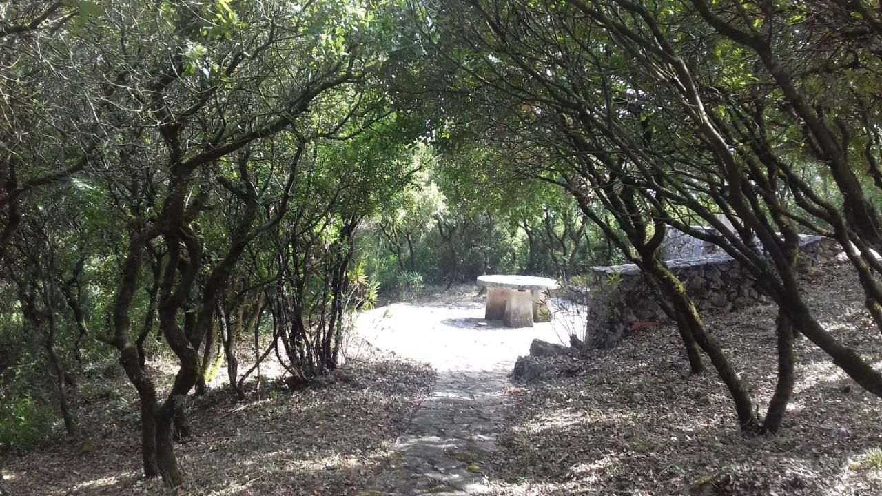 Cabeco Dos Tres Moinhos Villa Rio Maior Buitenkant foto